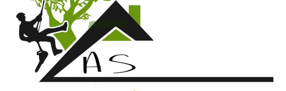 Abraham S. (schmitt elagage)