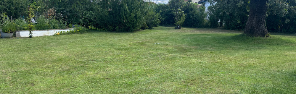 Patrick C. (Las Manos Verdes)