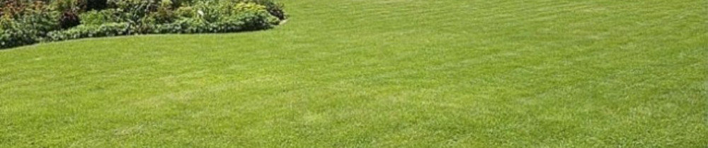 Ousmane B. (BA ENTREPRISE)