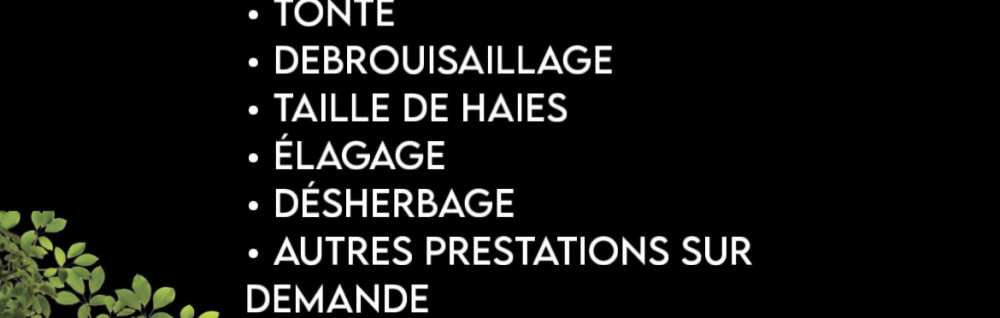 Ilan E. (Zayna Conciergerie)