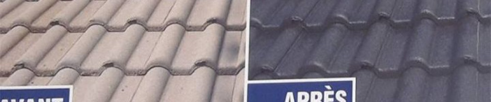 Artisan L. (Artisan D.L)