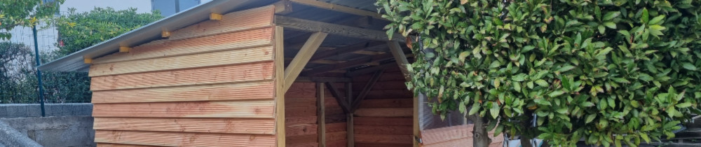 Yann Z. (ZANNETTACCI)