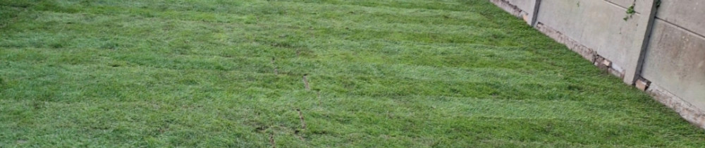 Cyril R. (Nature et design)