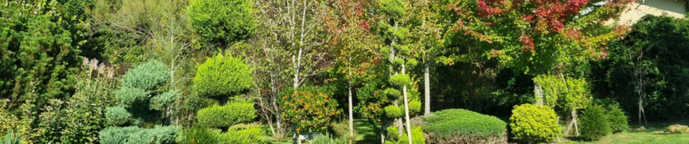 Damien Alain F. (BOIS ET JARDINS CREAT...