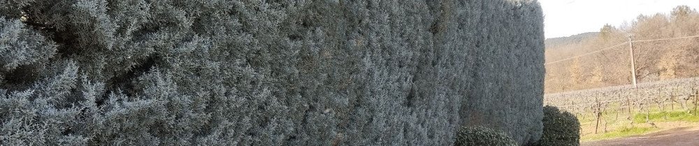 Yannick G. (Ygmultiservices)