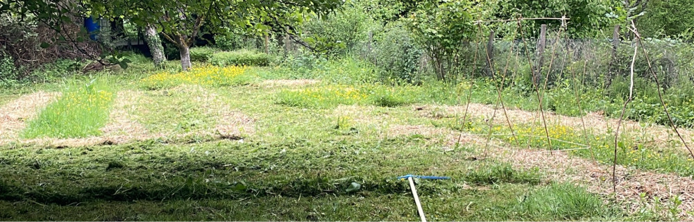 Lucas H. (Lucas Hattu)