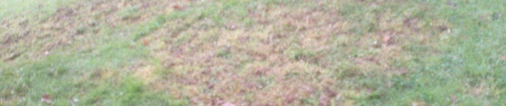 Christian C. (batycorre)