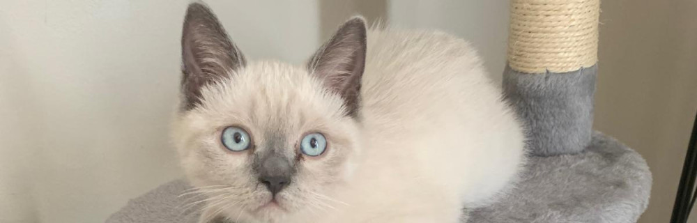 Mathieu L. (Mécano de qualité)