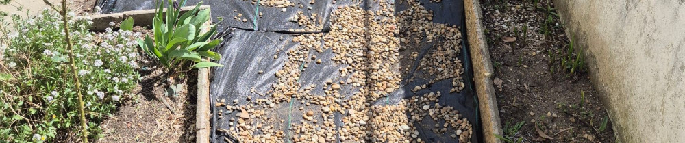 Murilo N. (Netpro Services 64)