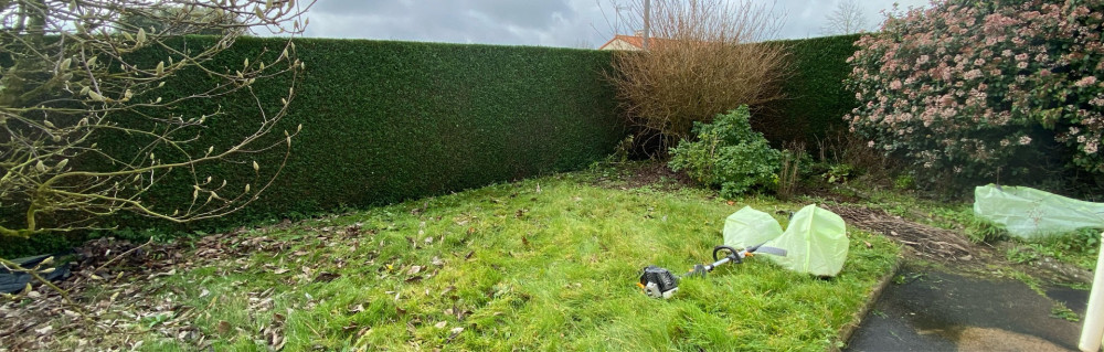 Matthieu R. (lejardinfacile.com)