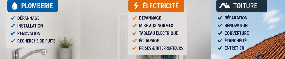 Frederic B. (ENTREPRISE BF RÉNOVATION)
