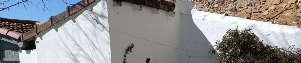 Morgan D. (Oxost Multiservice)