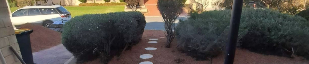 Timothée P. (Entretien Vert 42)