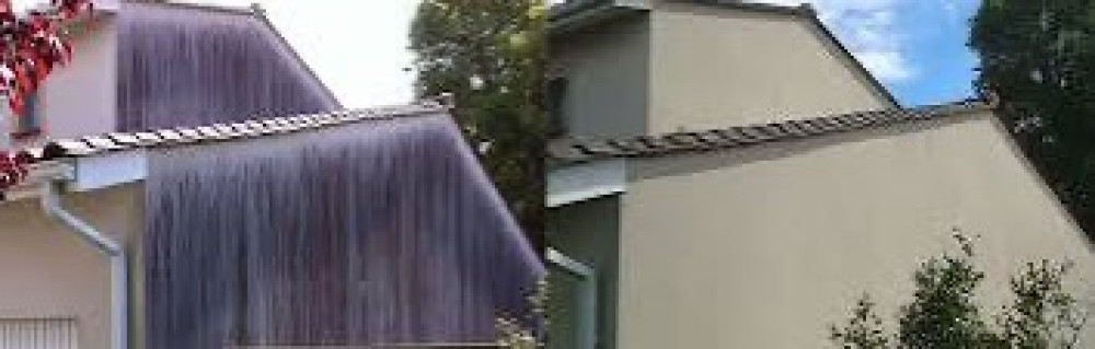 Daniel S. (ENTS SARRA)