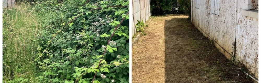 Levy G. (Le Petit Jardin)