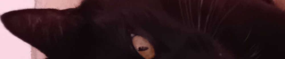 Celine Y.
