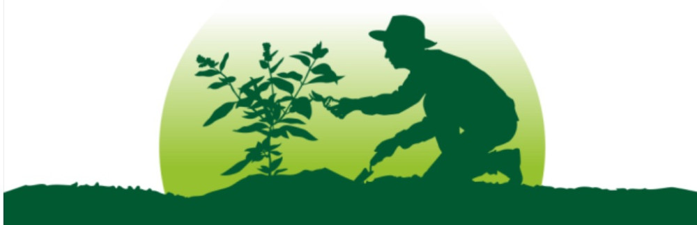 Boris A. (Adel jardinier Elagueur)