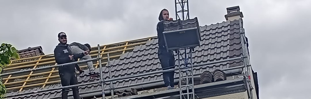 Nicode V. (Vs Renovation)