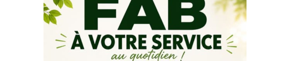 Fabien C. (fab débarras)