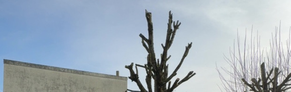 James L. (Laurot Jardinier)