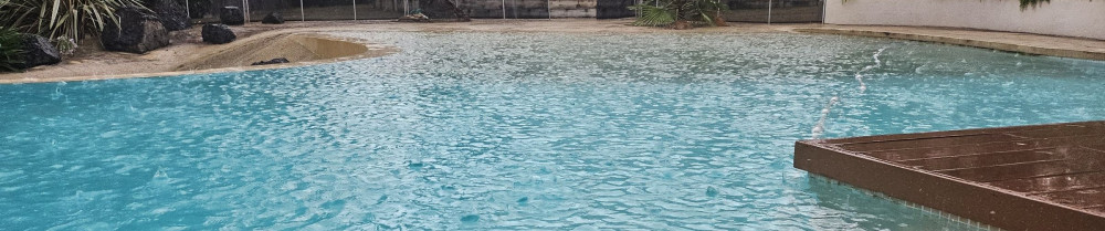 Fanny P. (Net'Éclats Services)