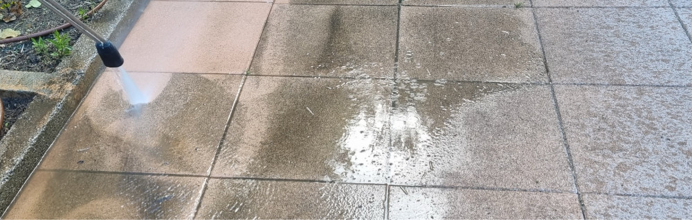 Dowson V. (Mr Vogel)