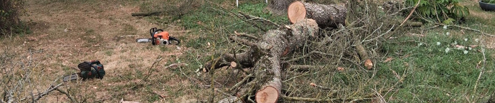 Rudy S. (élagage et entretien)