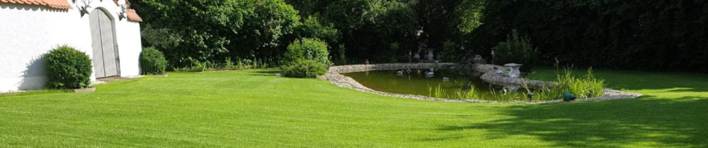 Yannick D. (La Main Verte)