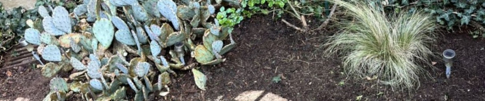 Dolann O. (Allo Travaux)