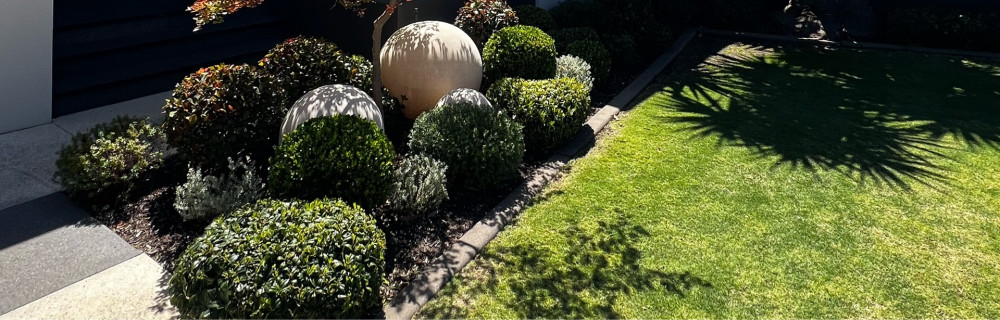 Jimmy M. (MORIZET GARDEN SERVICES)