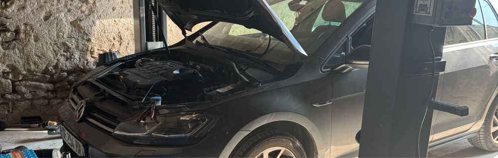 Nathan N. (V AUTOMOBILE)