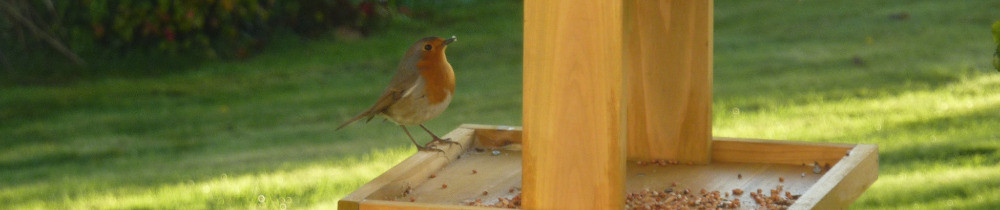 BRETAGNE AMELIORATION DE L'HABITAT