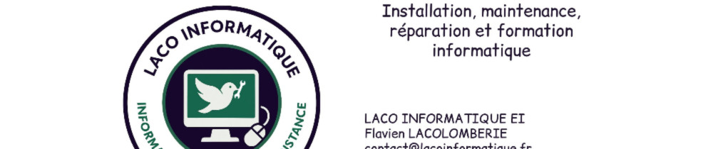 Flavien L. (LACO Informatique)