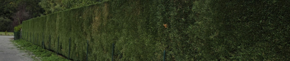 AU FIL DES SAISONS
