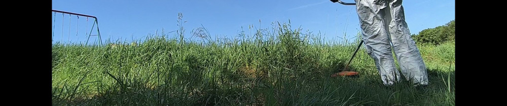 Cieutat H.