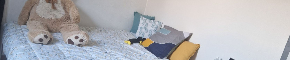 Axel P. (Ap Netoyage)