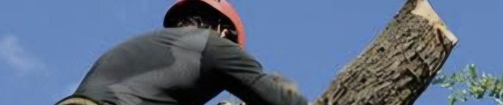 Noe W. (ENTREPRISE MULTI-TRAVAUX)