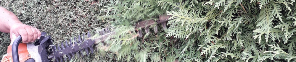 Calvin L. (Lefebvre élagages)