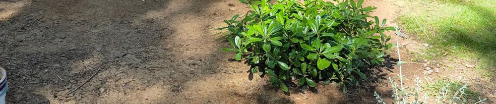 Christophe P. (Chris services)