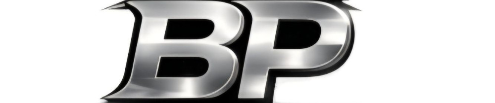 Brayan P. (BP RENOVATION)