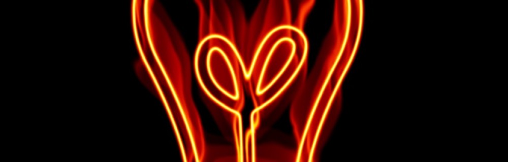 Lauren T. (Elfa Elec)