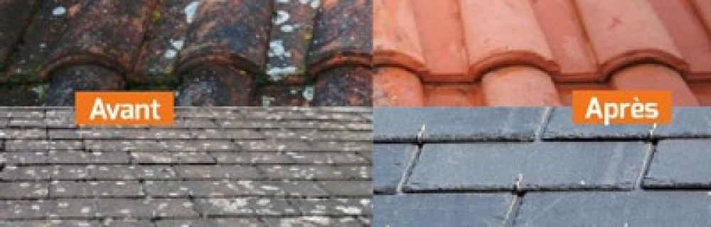 Flores L. (f.l batiment)