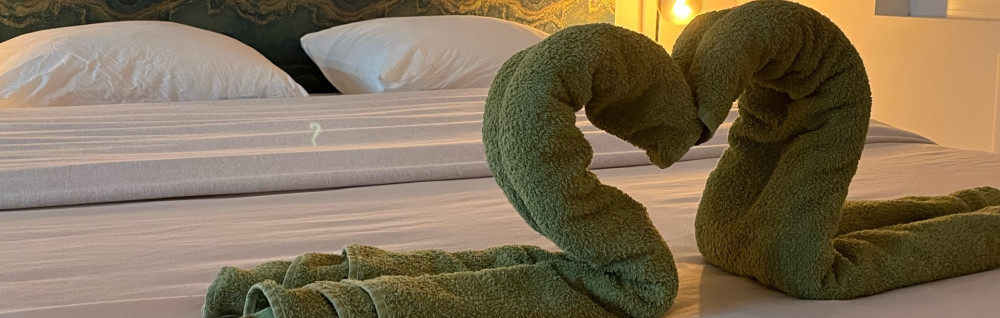 Angele R. (Osty Conciergerie)