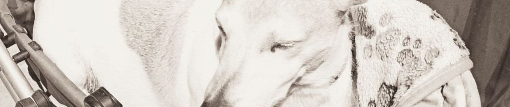 Nanou M.