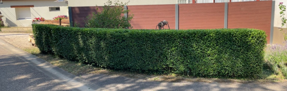 Florian V. (Fvm espace vert)