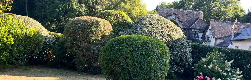 Fabien R. (biodivie)