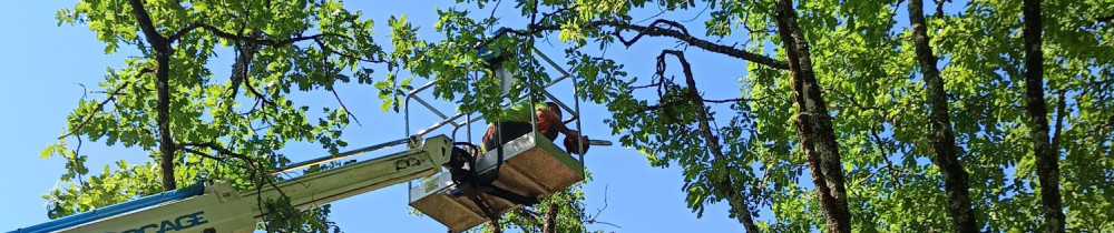 Quentin B. (bes rénovation)