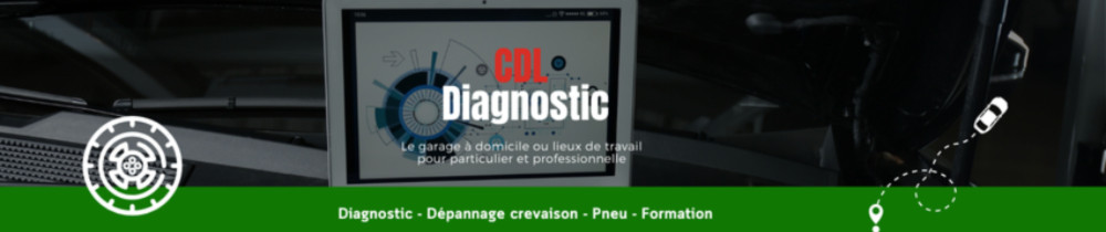 David L. (cdl diagnostic)