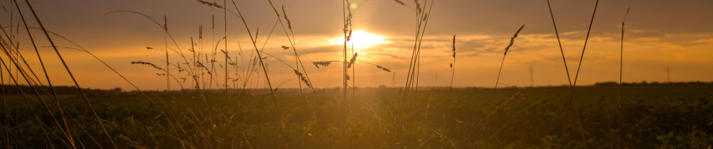 Sandrine O. (Patt'House)