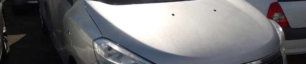 Youssef M. (MY auto)